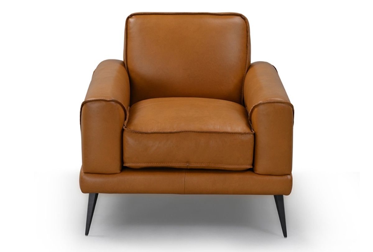 New jersey by Becker